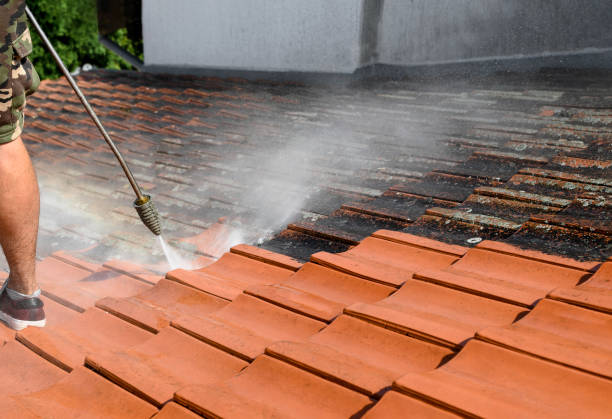 Best House Pressure Washing  in Garrison, MD